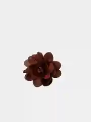 Коричневый заколка