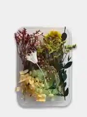Бирюзовый сухоцветы в коробе, 17 х 12 х 3 см