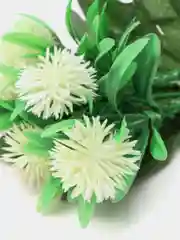 Белый искуственные трава Ёжики