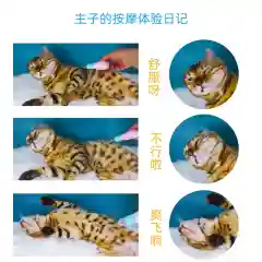Расческа для животных,кошек и собак/ Гребень для кошек/ для вычесывания шерсти