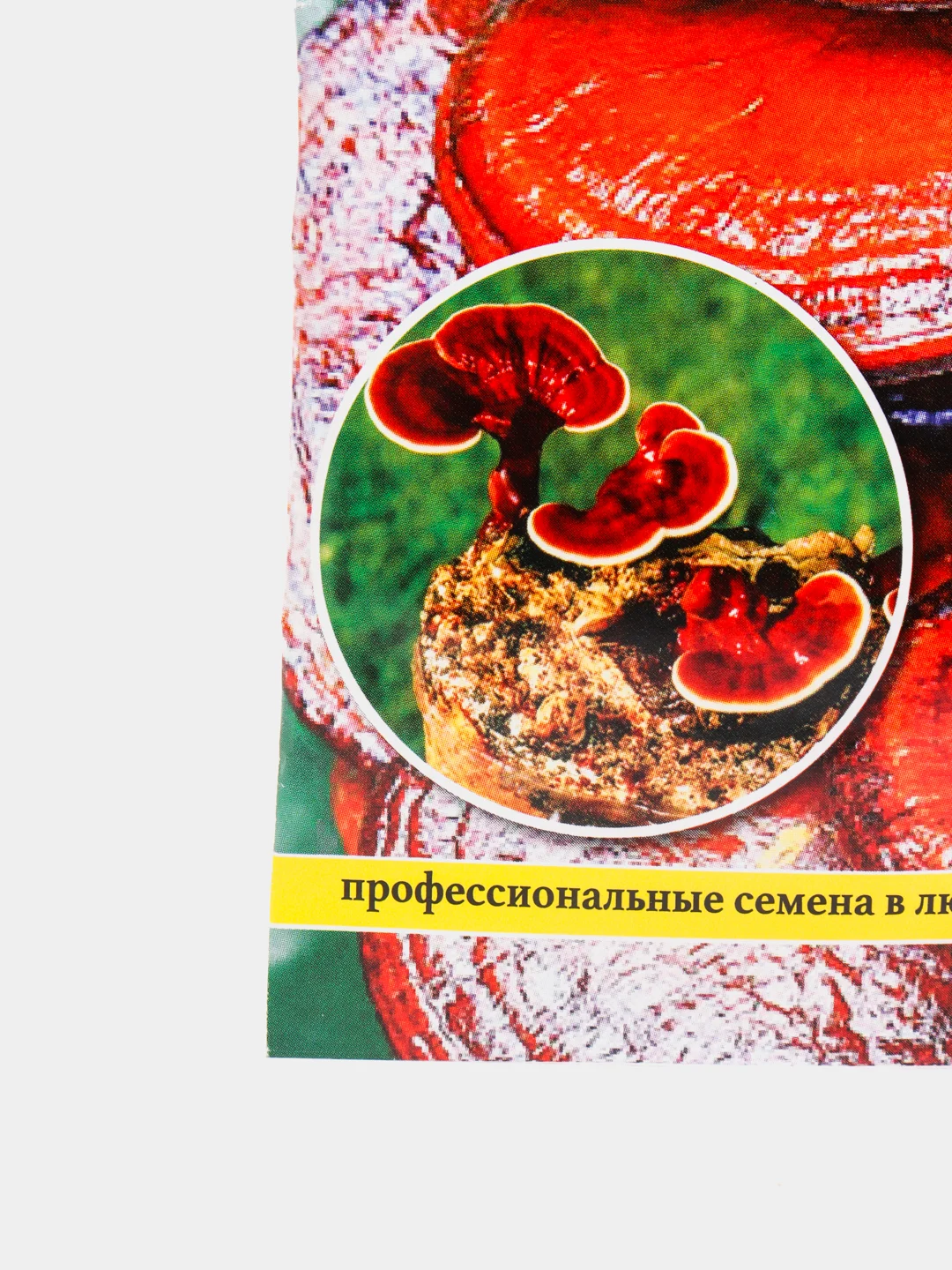 Семена мицелий грибов "Рейши гриб бессмертия"