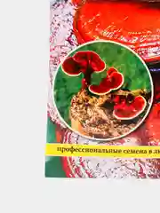 Семена мицелий грибов "Рейши гриб бессмертия"