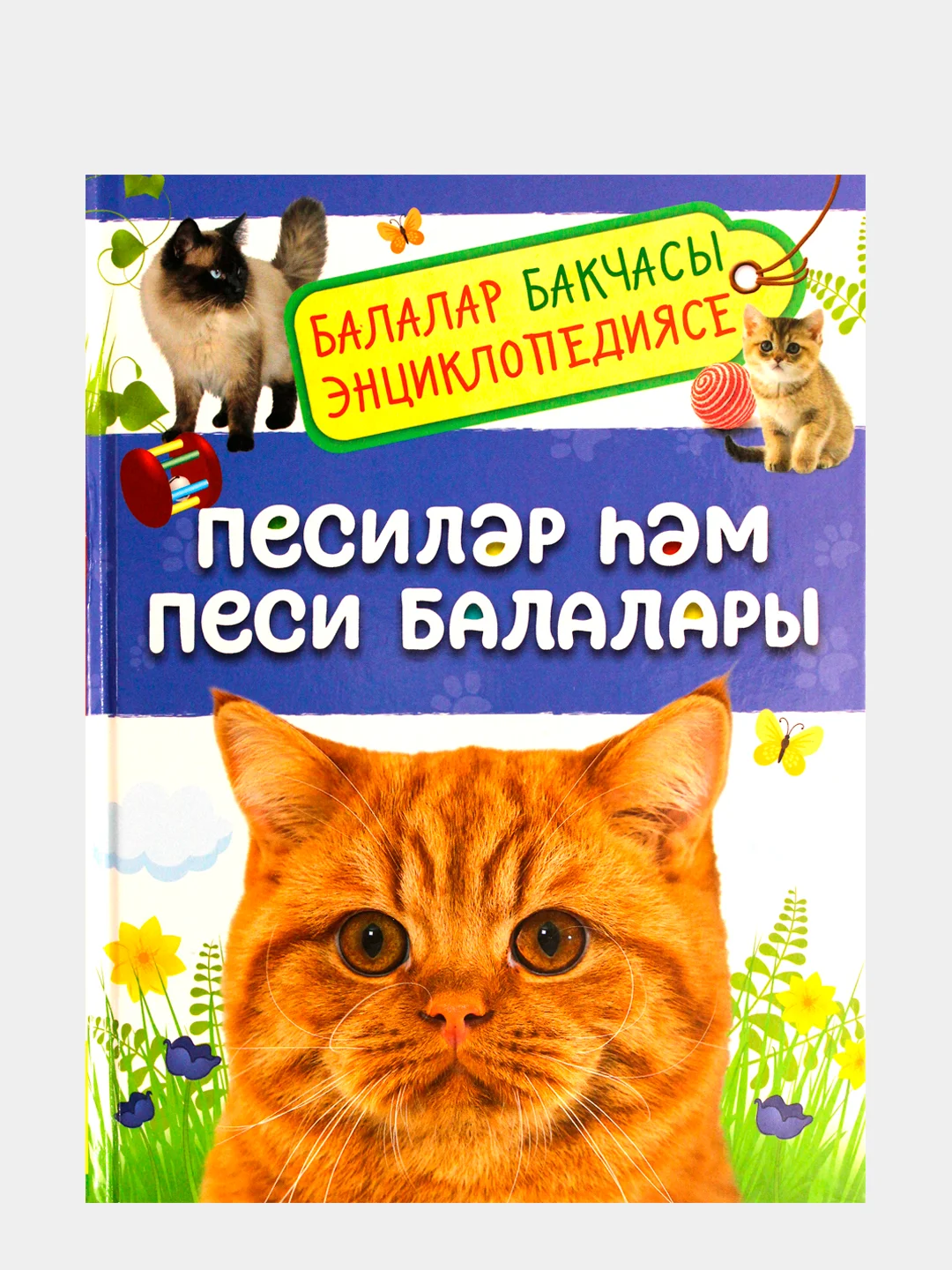 Энциклопедия для детей на татарском языке. Подводный мир. Кошки и котята. Тело человека