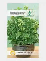 Душица Северное сияние 0,1г / Евро - семена