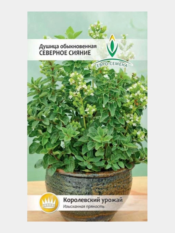 Душица Северное сияние 0,1г / Евро - семена