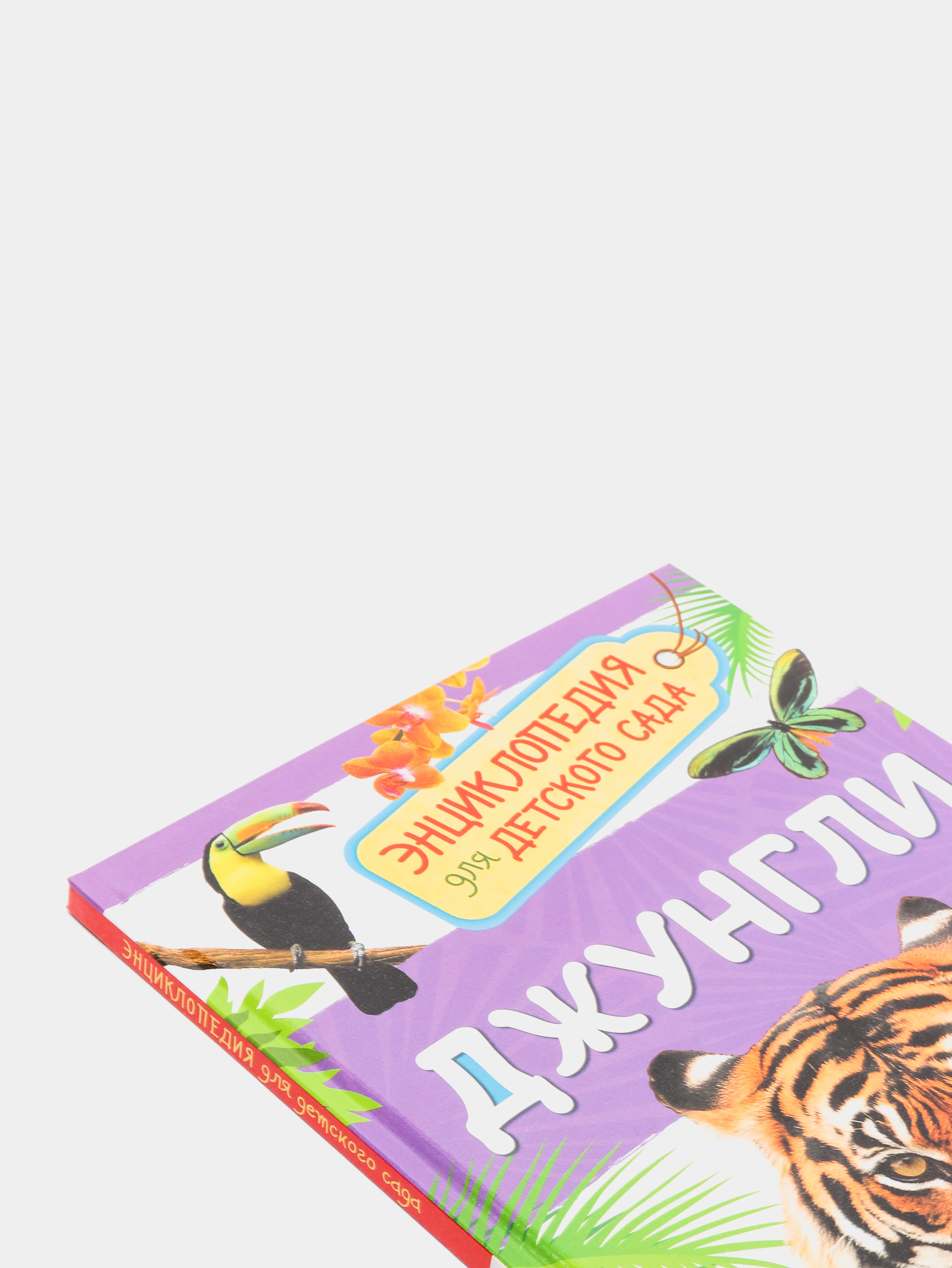 Энциклопедия для детского сада Джунгли