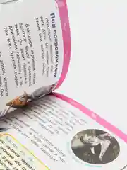 Энциклопедия для детского сада Джунгли