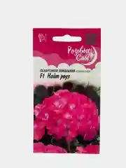 Пеларгония Найт роуз (семена,цветы)