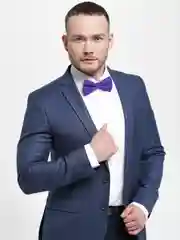 Фиолетовый бабочка фиолетовая