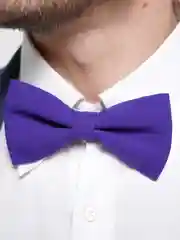 Фиолетовый бабочка фиолетовая