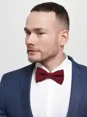 Бордовый бордовая бабочка