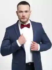 Бордовый бордовая бабочка