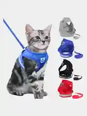 Шлейка с поводком для собак и кошек
