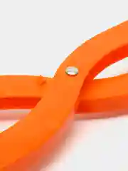 Оранжевый снежколеп