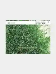 Лайм чешский бисер Preciosa 10/0, Transparent sfinx, 10 и 50 грамм