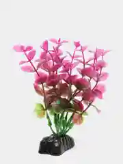 Растение для аквариума Plant 025 Бакопа Красная