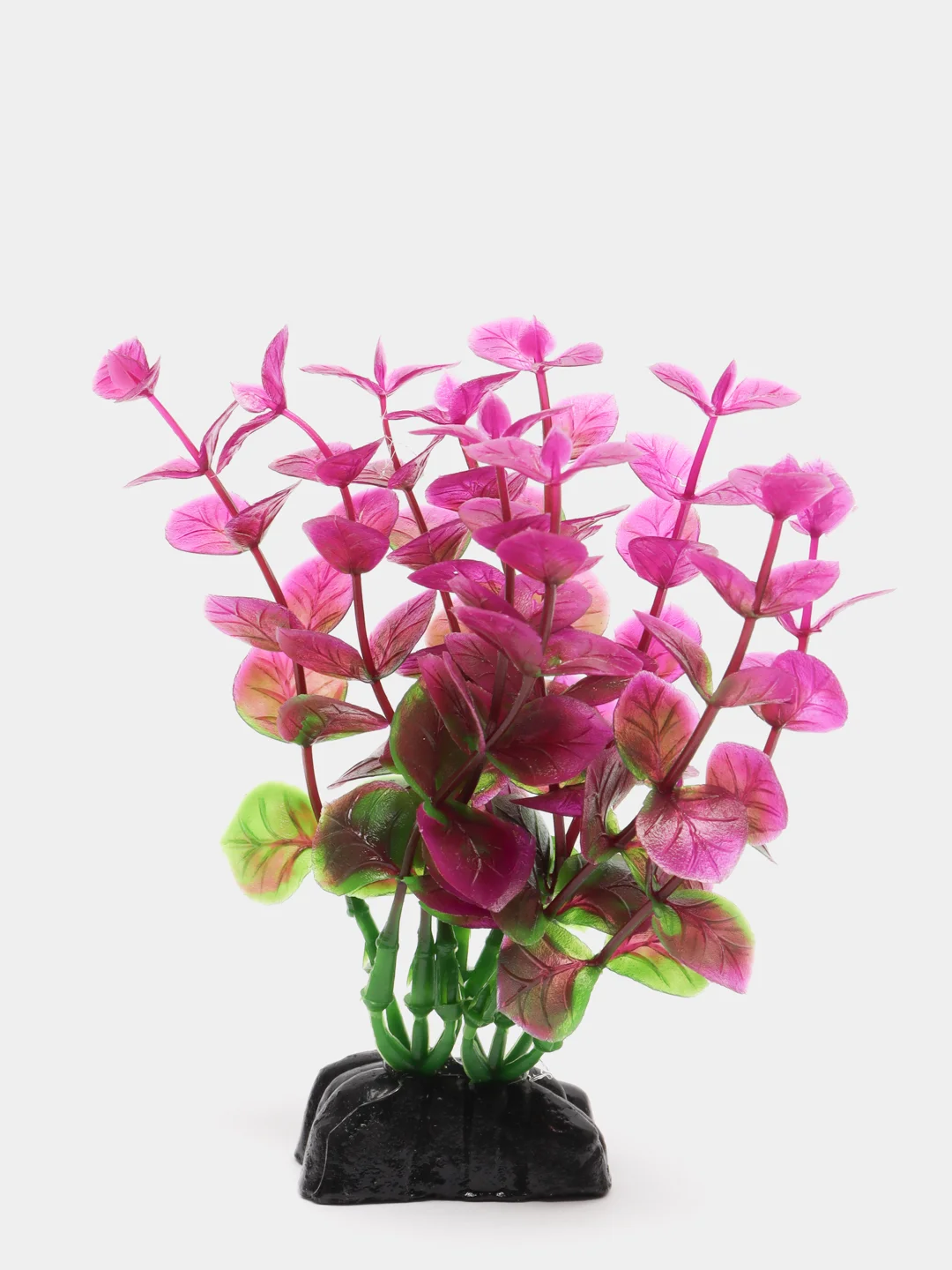Растение для аквариума Plant 025 Бакопа Красная