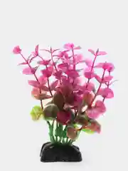 Растение для аквариума Plant 025 Бакопа Красная