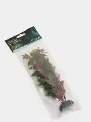 Растение для аквариума Plant 006 Людвигия красная