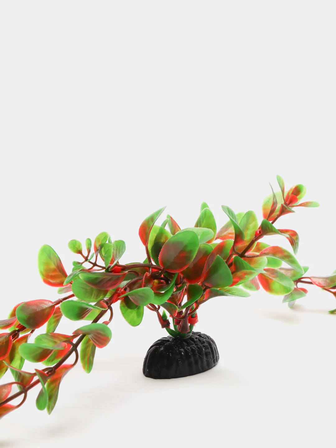 Растение для аквариума Plant 006 Людвигия красная