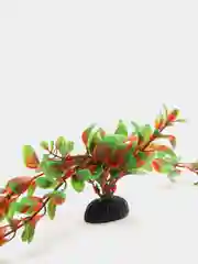 Растение для аквариума Plant 006 Людвигия красная