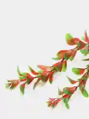 Растение для аквариума Plant 006 Людвигия красная