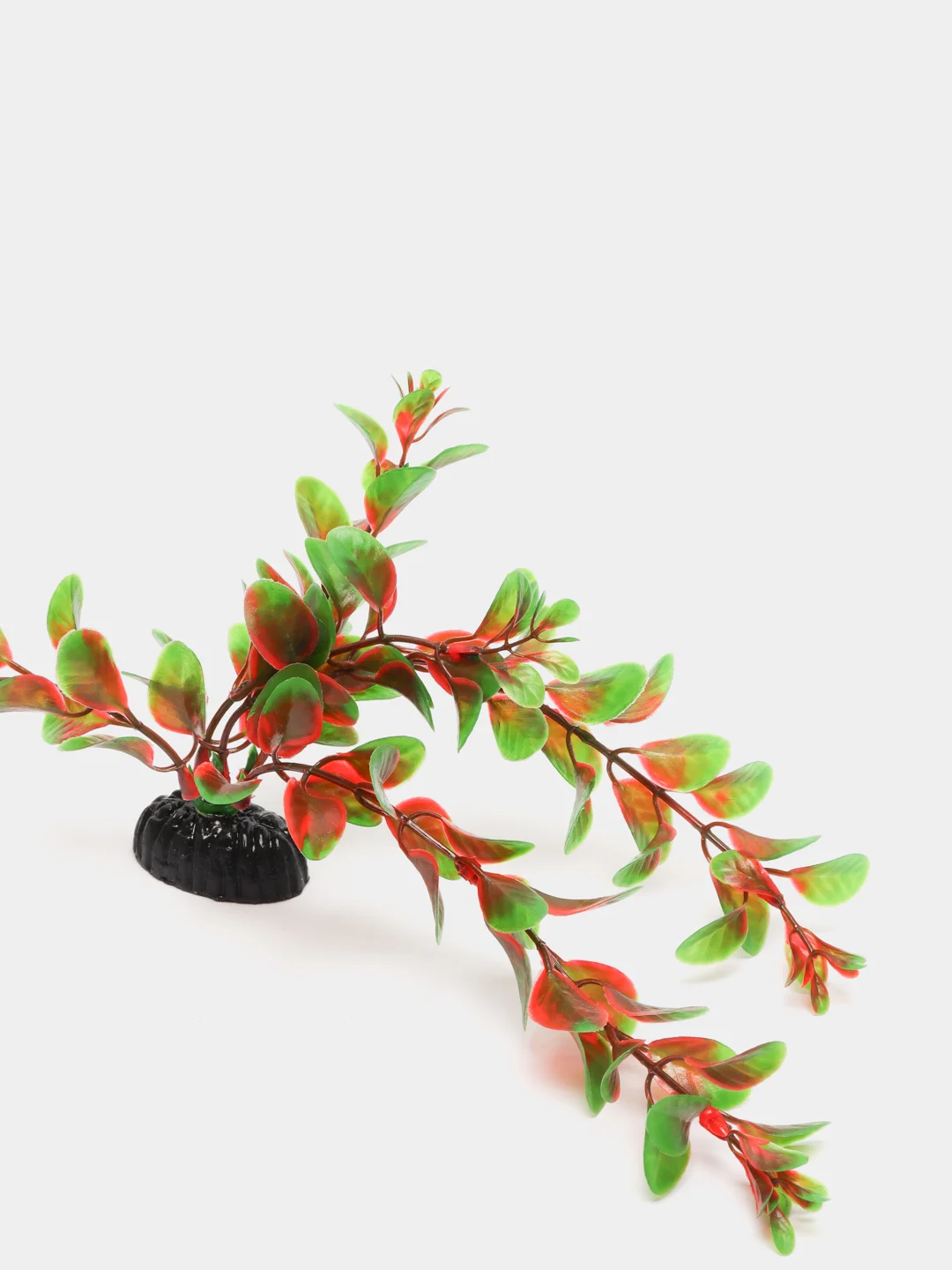 Растение для аквариума Plant 006 Людвигия красная