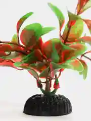 Растение для аквариума Plant 006 Людвигия красная