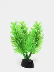 Растение для аквариума Plant 015, роголистник зелёный, высота 10 см