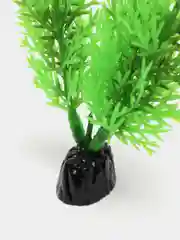 Растение для аквариума Plant 015, роголистник зелёный, высота 10 см