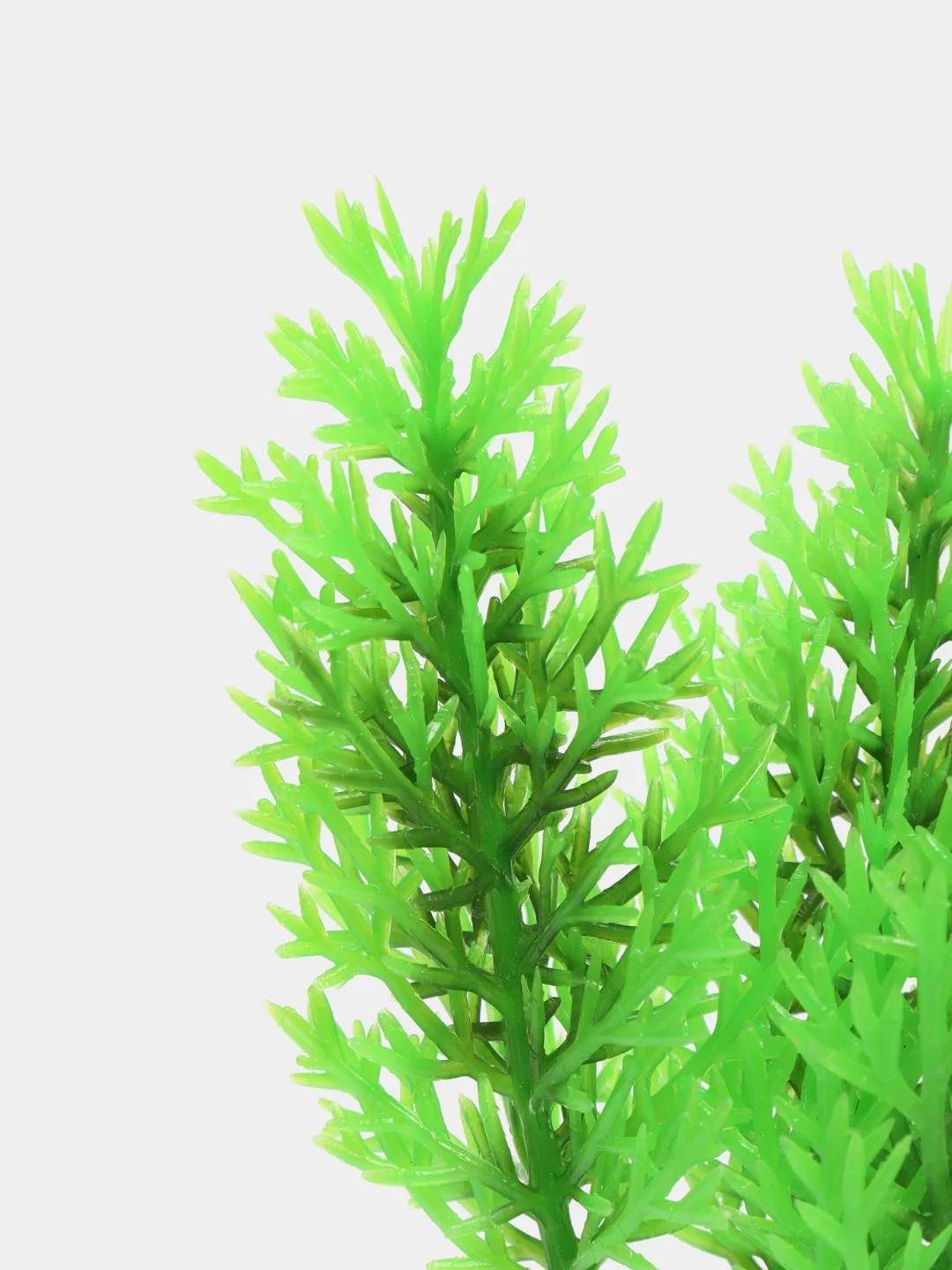 Растение для аквариума Plant 015, роголистник зелёный, высота 10 см