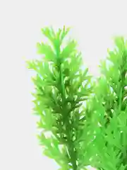 Растение для аквариума Plant 015, роголистник зелёный, высота 10 см