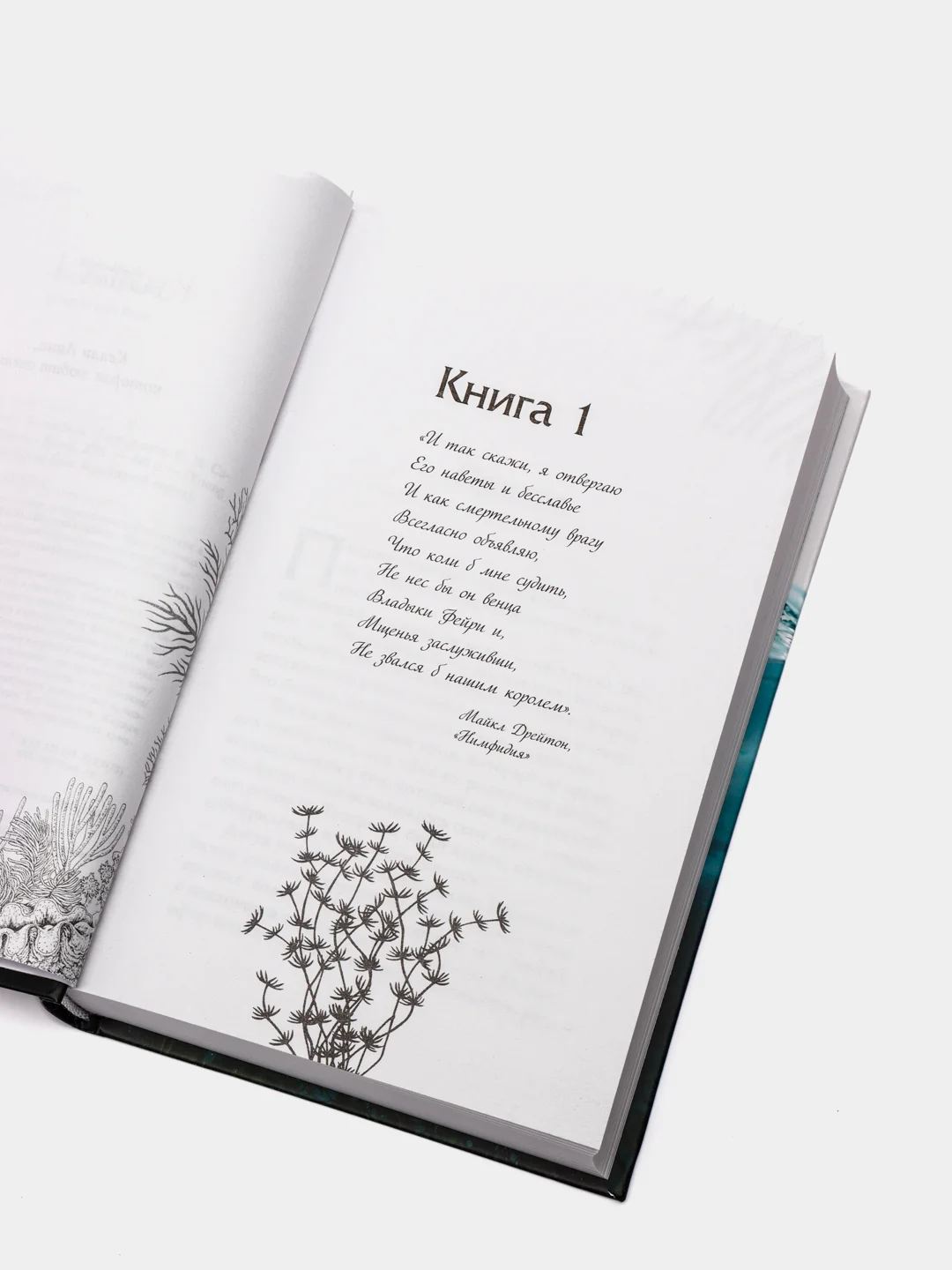 Воздушный народ Злой король (#2), Холли Блэк
