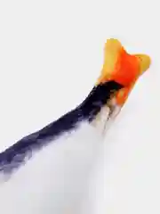 Лайм игрушка для кошки, с кошачьей мятой, в форме рыбы