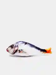 Лайм игрушка для кошки, с кошачьей мятой, в форме рыбы