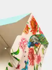 Голубой коробка - пенал Tropical present, 2 вида