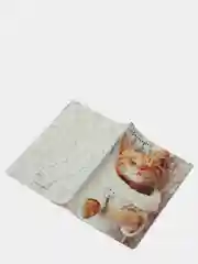 Бежевый обложка на паспорт "Котопаспорт"