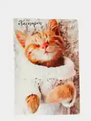 Бежевый обложка на паспорт "Котопаспорт"