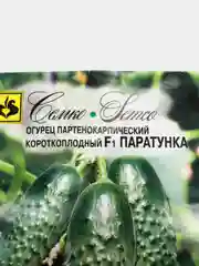 Семена Огурец "F1 Паратунка"