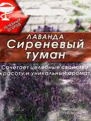 Семена Лаванда "Сиреневый туман"
