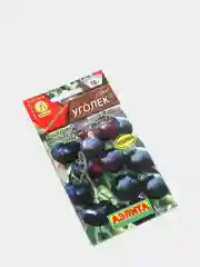 Семена Томат "Уголек"