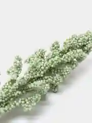 Зеленый искусственные цветы, Полевые цветы "Кукурузки", букет из 6 веточек