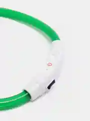 Зеленый ошейник светящийся для собак с USB