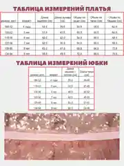 Комплект платье с юбкой/нарядное