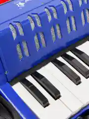 Аккордеон детский Future Star FF-17K BL