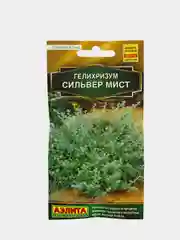 Семена цветов Гелихризум "Сильвер мист"