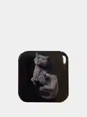 Серебряный 3d-наклейки на телефон