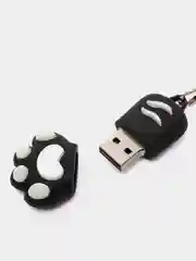 Черный usb флешка, 16 Гб, кошачья лапка