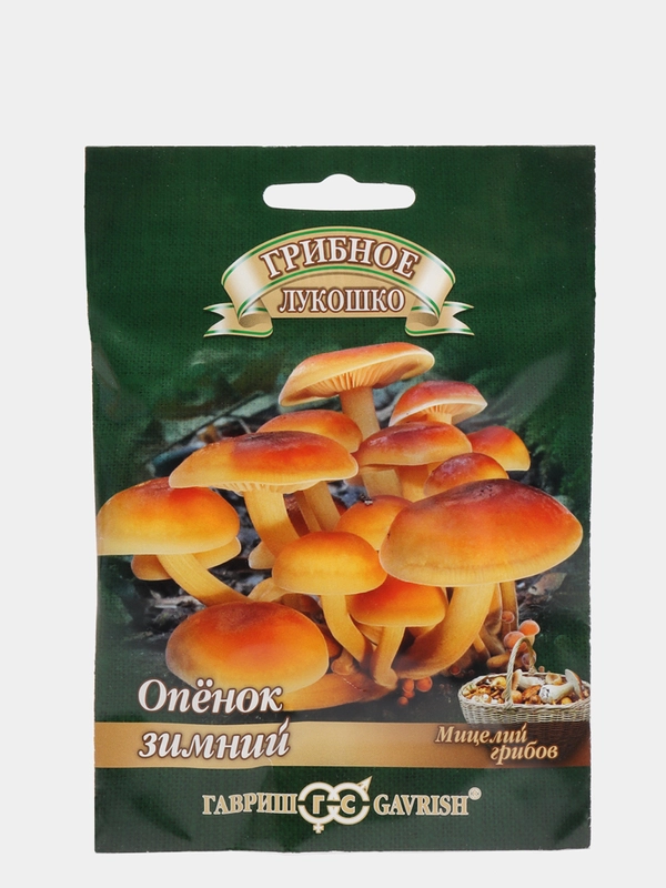 Семена "Грибы Опенок зимний"