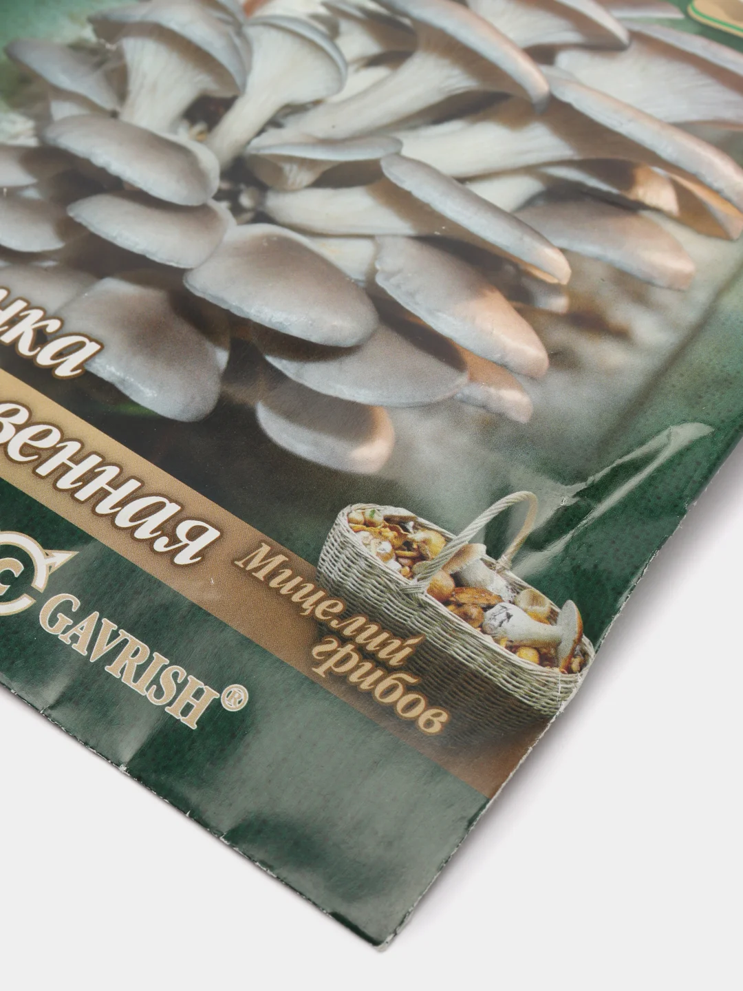 Грибы Вешенка обыкновенная "семена"